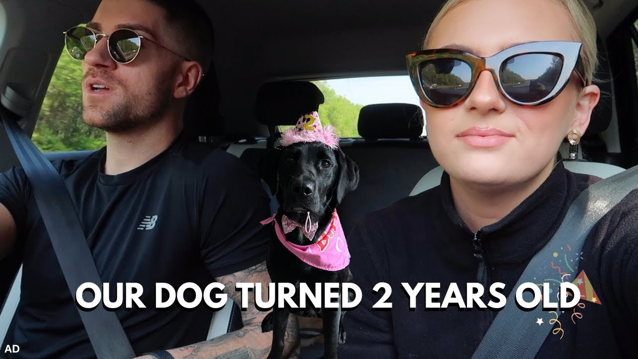 OUR LABRADOR TURNED TWO YEARS OLD | WEEKEND VLOG | AD