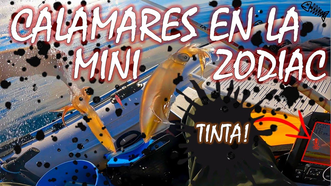 VUELVE la MINI ZODIAC a MANCHARSE de TINTA / PESCA de CALAMARES y SEPIAS