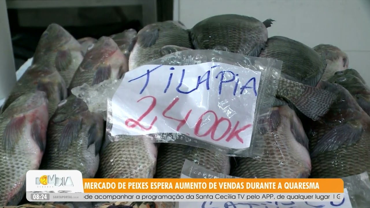 Mercado de Peixes espera aumento de vendas durante a quaresma - 25/02/26