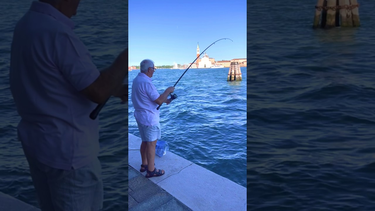 Fishing Between Gondolas in Venice, Italy 🇮🇹: Can You Identify This Fish? 🎣🐟