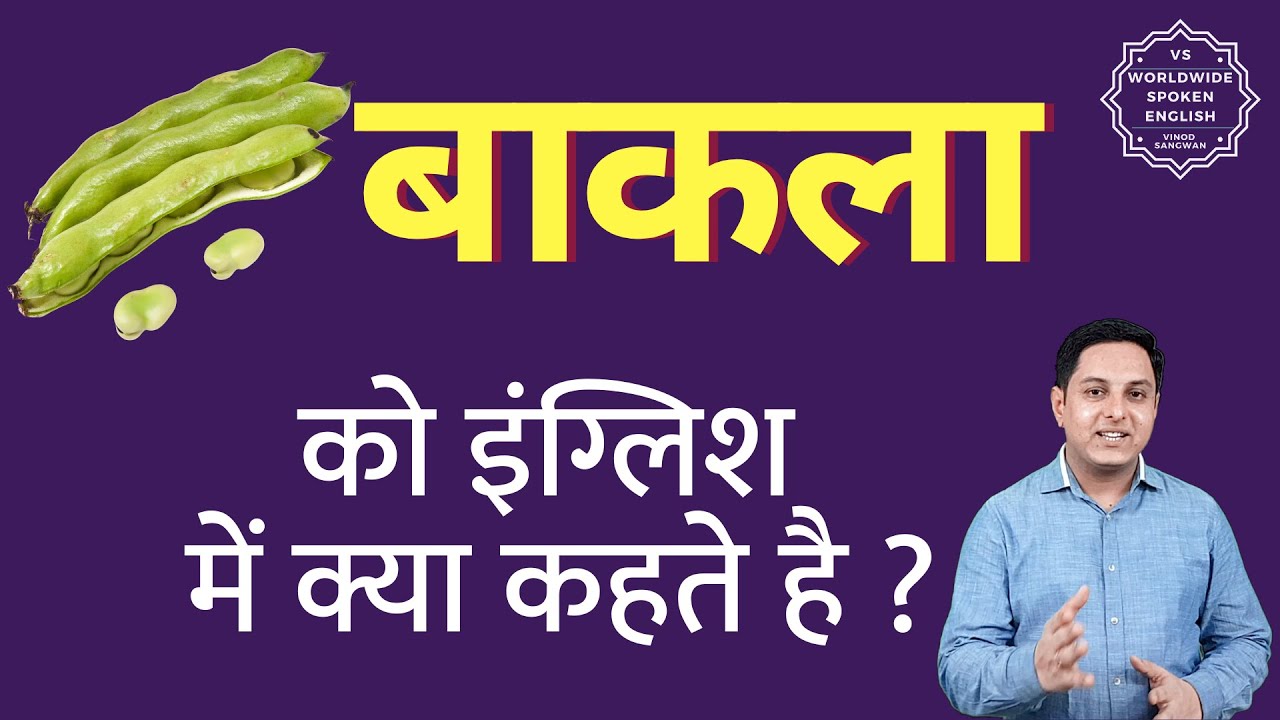 बाकला को इंग्लिश में क्या कहते हैं | bakla ki English | bakla ki spelling
