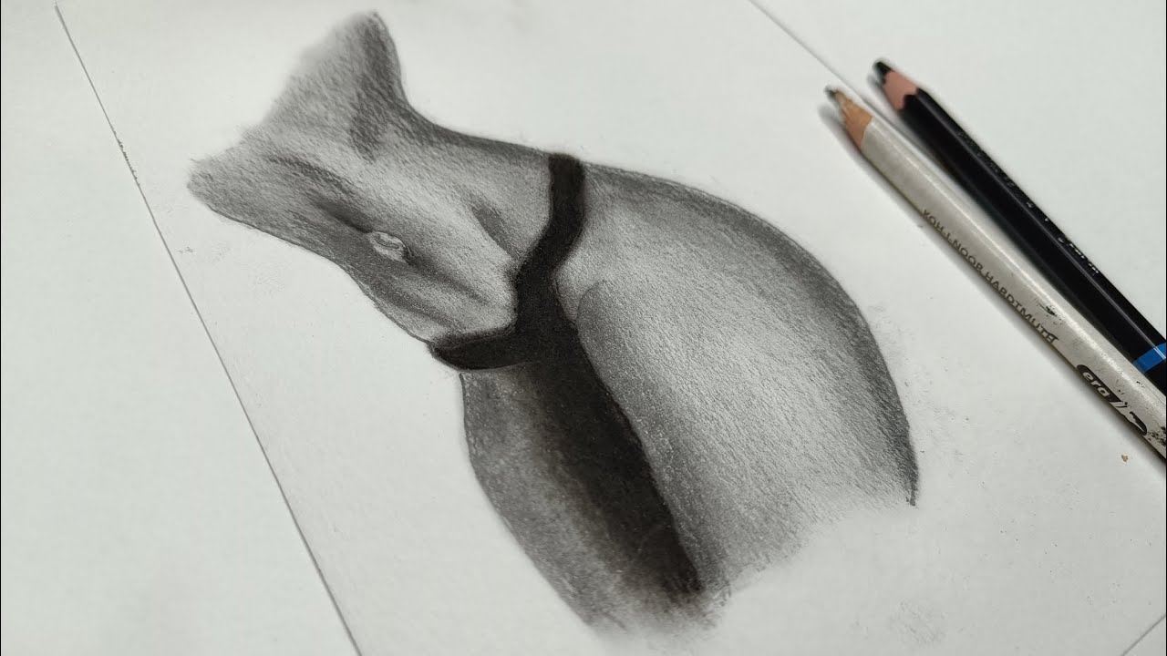 Pencil drawing and shading tutorials || Graphite Pencil Sketching || shading technique