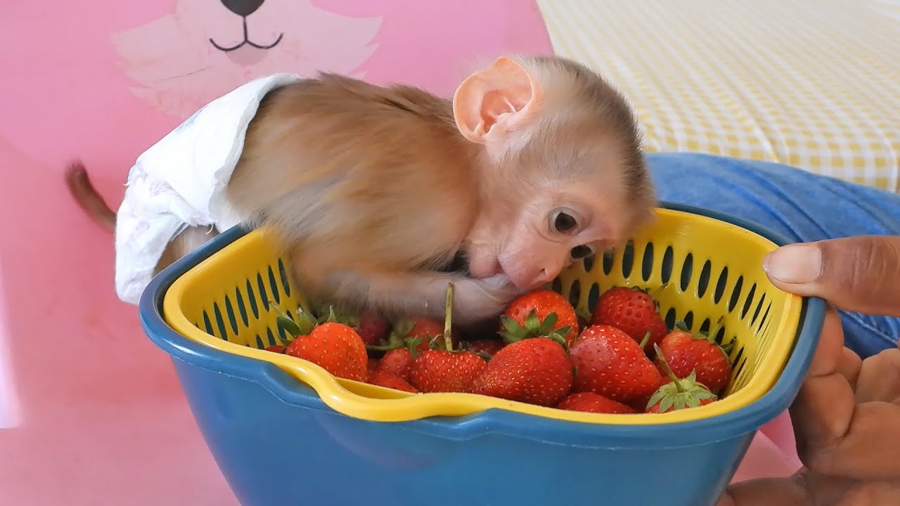 Little Valen's Love For Sleep Over Strawberry Fruit