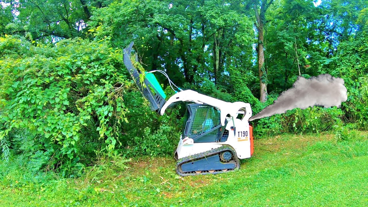 Bobcat T190 with express steel brush cutter taking down 12 Foot tall brush & 4-5