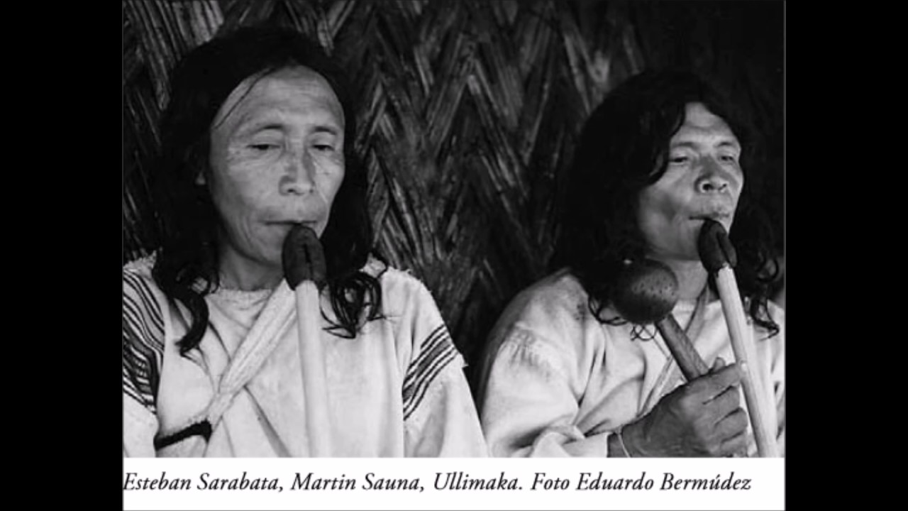 10. Canto y baile de mujeres {KOGI}