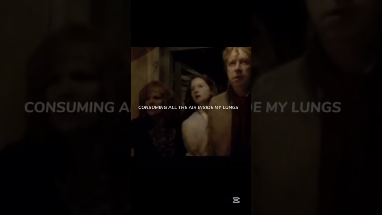 Hinny | @harrypotter @Mr.Pottah | #music #shawnmendes #harrypotter #ginnyweasley #hinny #fire