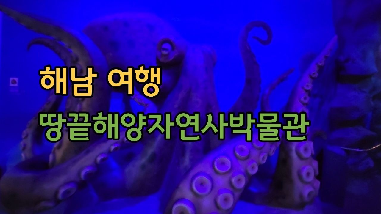 해남 땅끝해양자연사박물관_가족들과 신비한 바닷속 체험을 즐겨보세요~#겨울#여행#박물관#자연사