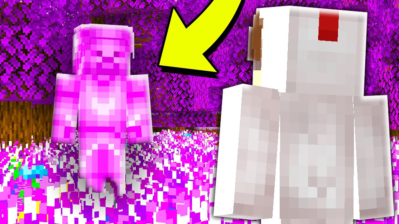 Discovering Violet Steves! | Rainbow Quest Ep.57