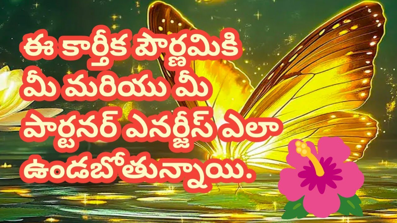 💯❤️ఈ కార్తీక పౌర్ణమికి మీ మరియు మీ పార్టనర్ ఎనర్జీస్ ఎలా వున్నాయి.తెలుసుకోండి