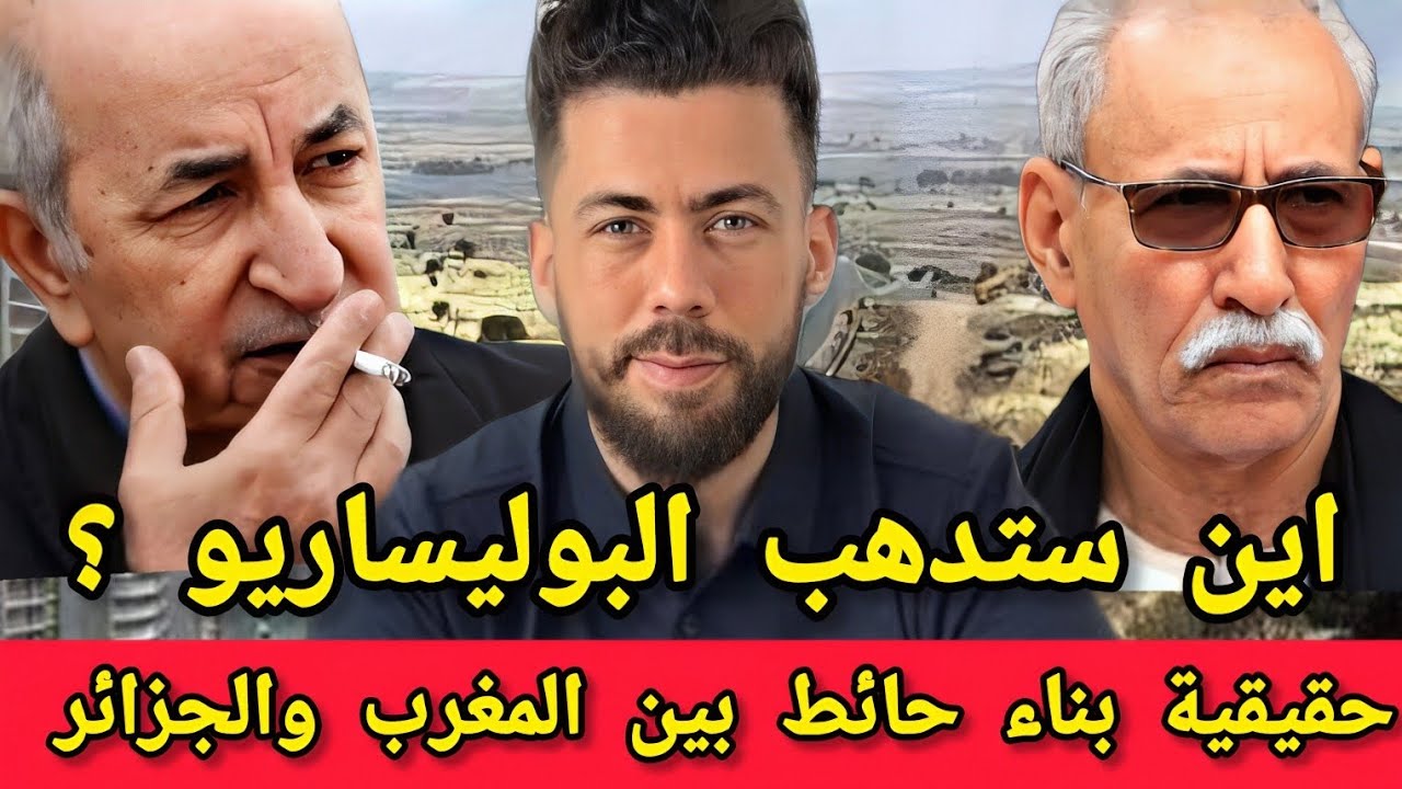 جديد شوقي بن زهرة حقيقية بناء حائط بين المغرب والجزائر ومصير مبهم لجبهة البو'ليساريو 