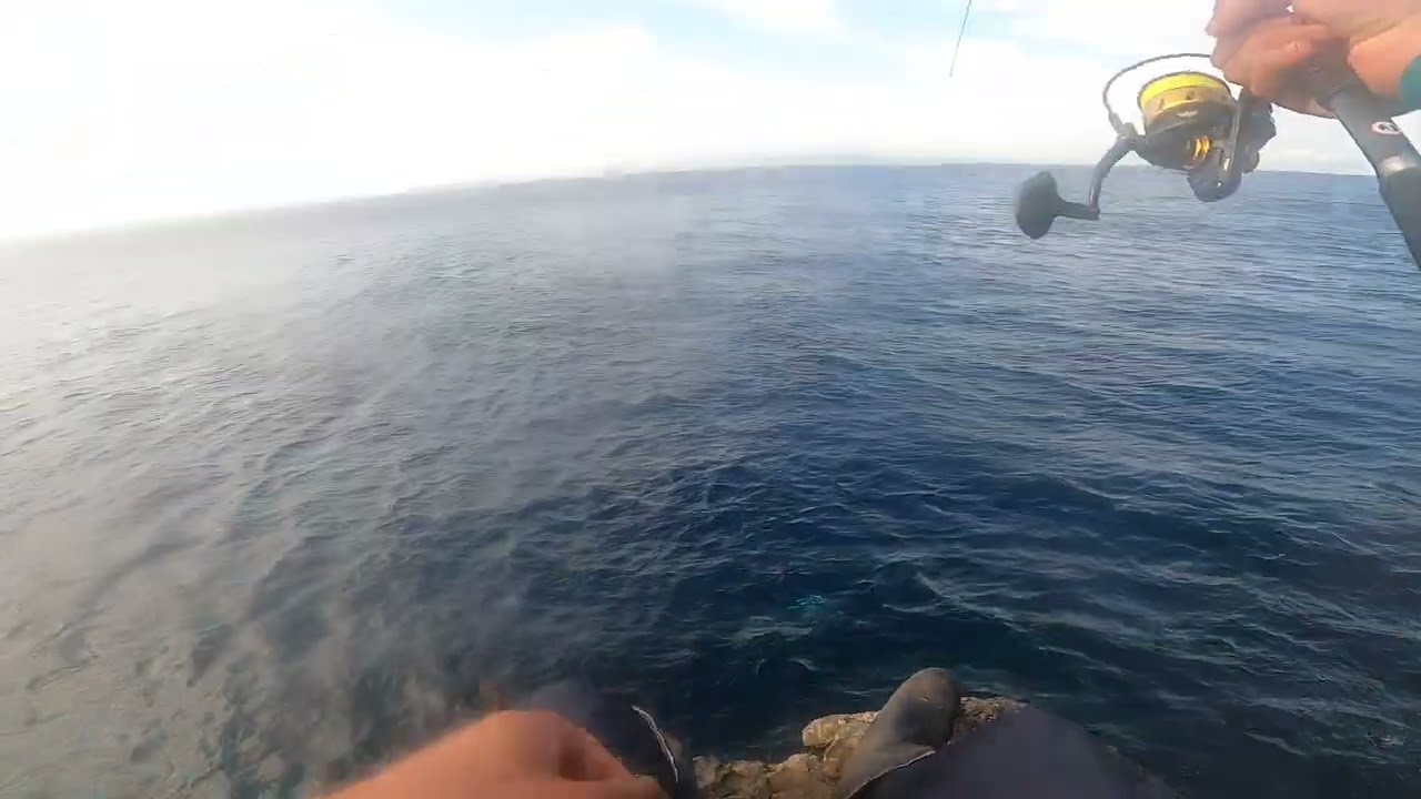 مقطع صيد باكورا# مع الاصدقاء في منطقة بليونش🔥💯🇩🇿🇪🇦🇲🇦🎣🎣🎣🎣