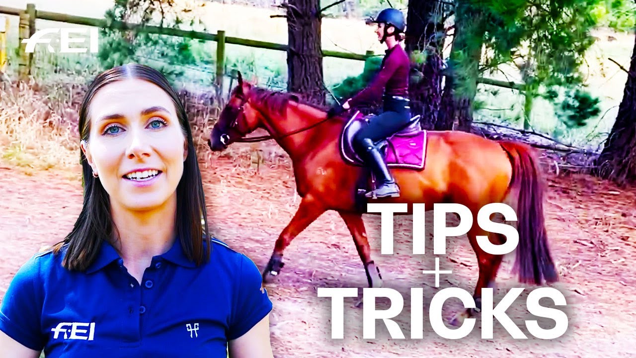 How To Bring Your Horse Back Into Work? - w/ Han Equestrian | Guest Vlog