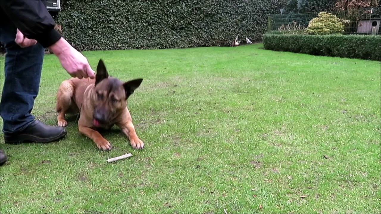Promo Vídeo de técnicas 