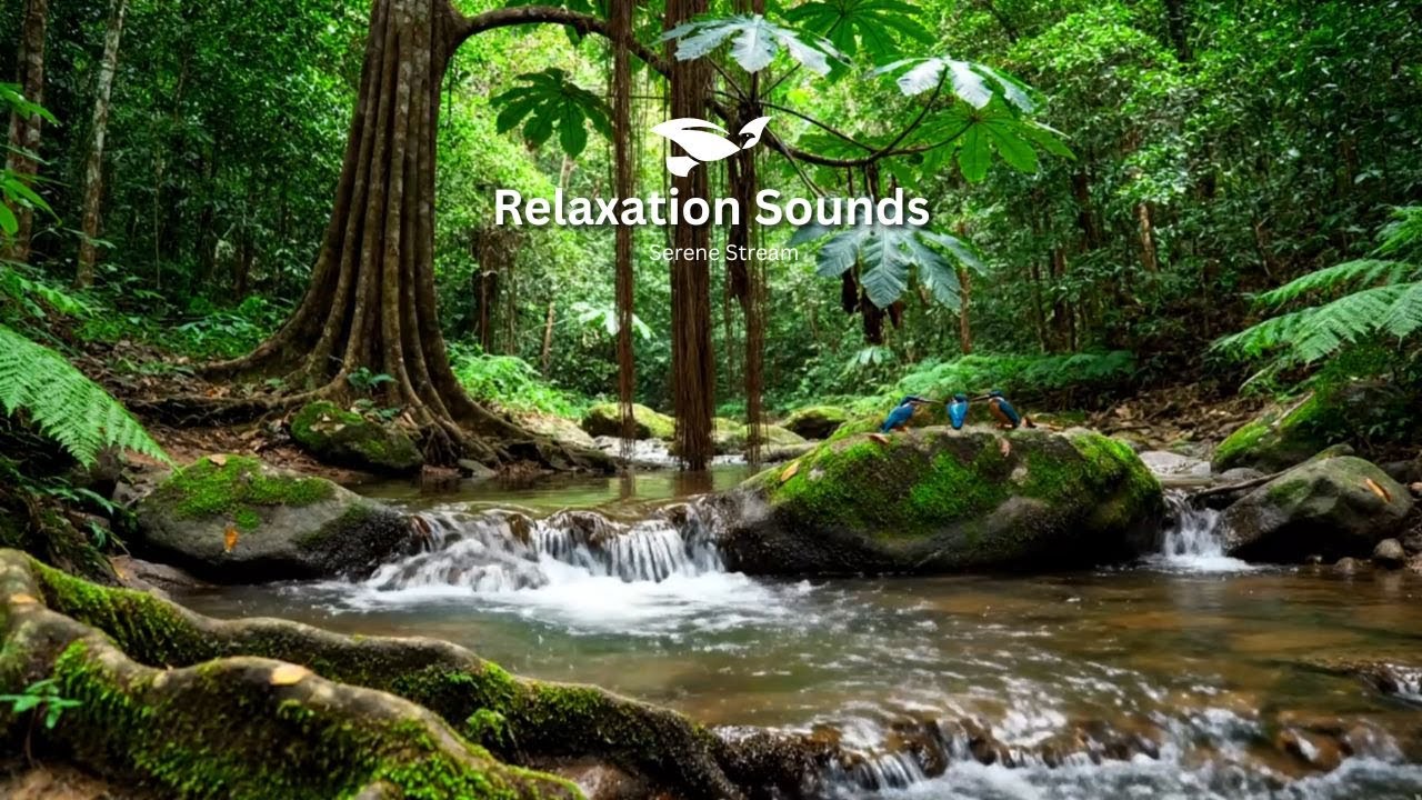 Birds Chirping & Flowing River Sounds | Peaceful Nature Ambience for Relaxation