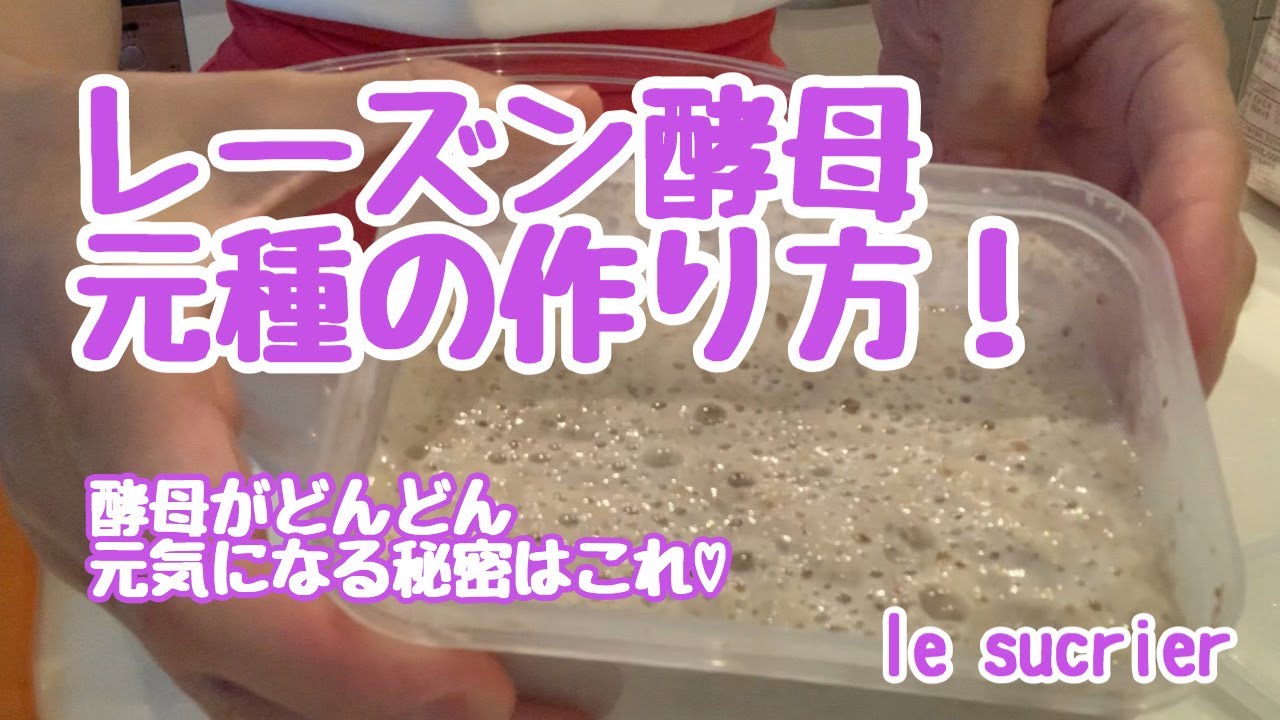 【天然酵母】レーズン酵母元種の作り方