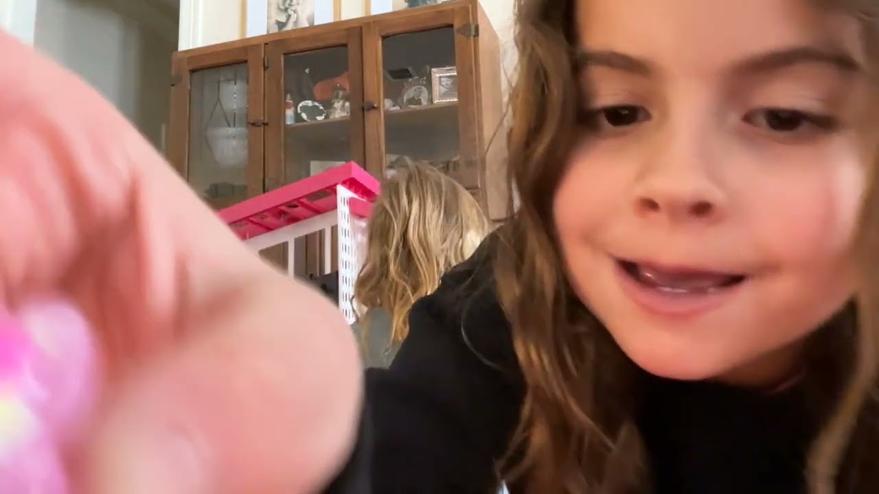 Posey Belle and Teddy play with the Dreamhouse!