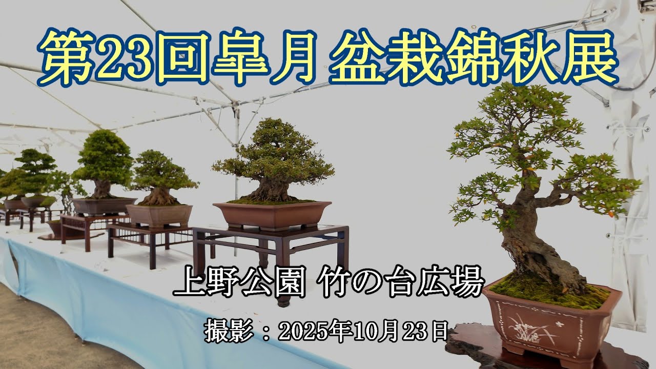 第23回皐月盆栽錦秋展 = 主催：日本皐月協会 = [4K] The 23rd Satsuki Bonsai Kinshuten (Autumn Exhibition)