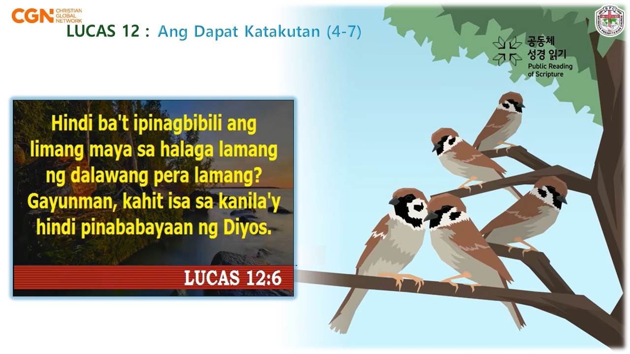LUCAS - IKALABING-DALAWANG KABANATA (Chapter 12)