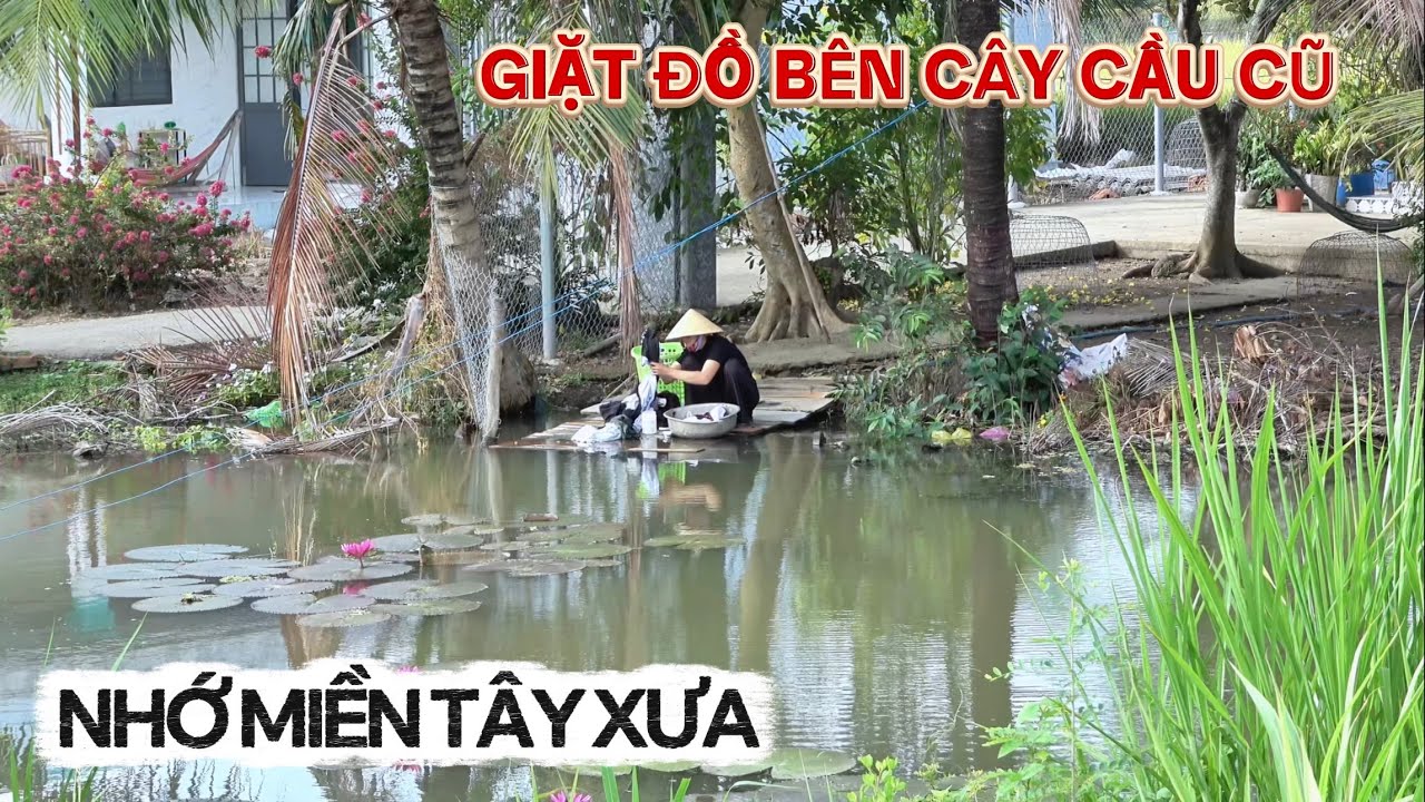 Nhớ Miền Tây Xưa | Về Thị Trấn Vàm Láng Cây Cầu Khỉ Ngập Nước, Người Giặc Đồ Bên Cây Cầu Cũ.