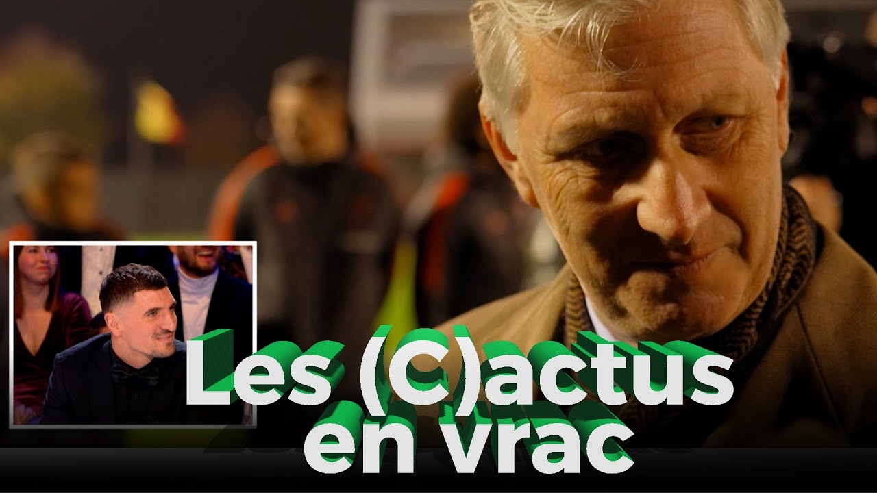Les (C)actus en vrac | Jerôme de Warzée | Le Grand Cactus 147