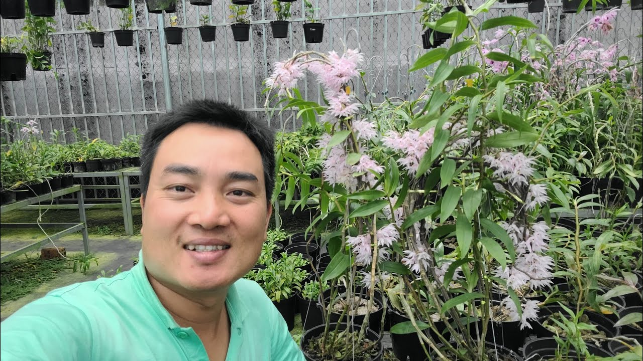 Sau nhiều năm 