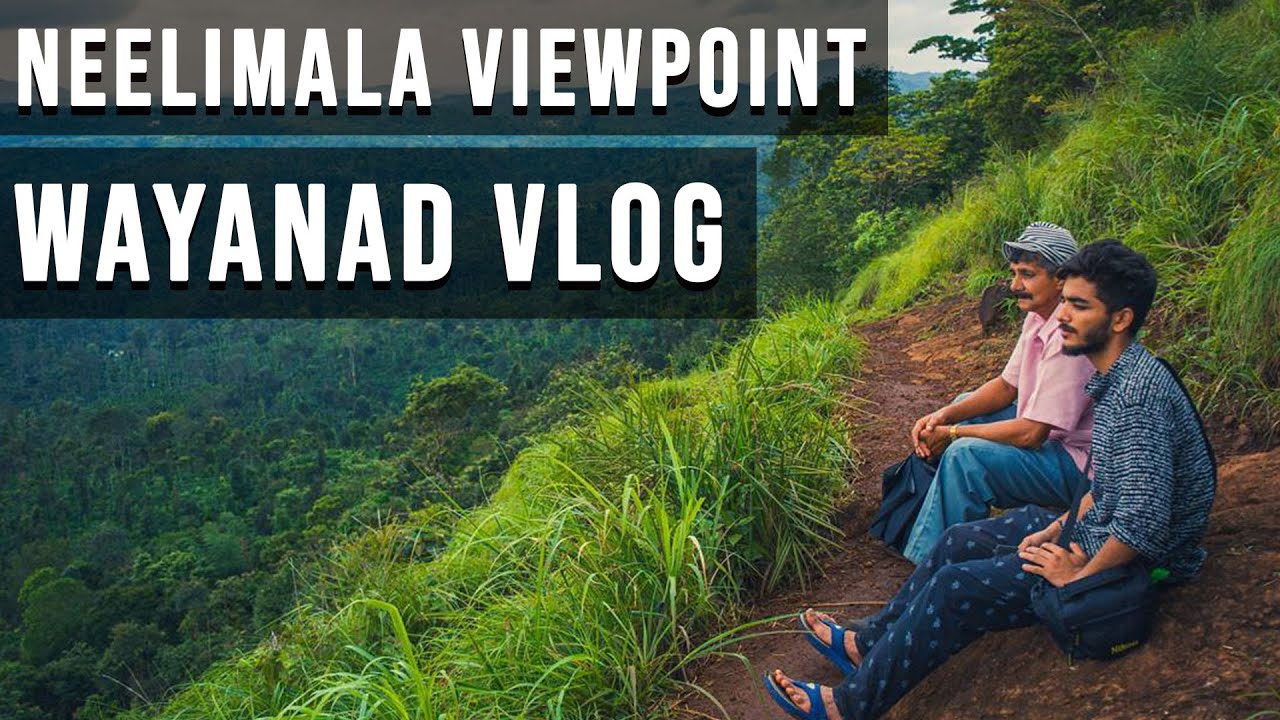 Madumalai National Park & Neelimala Viewpoint - Ooty to Wayanad Ride