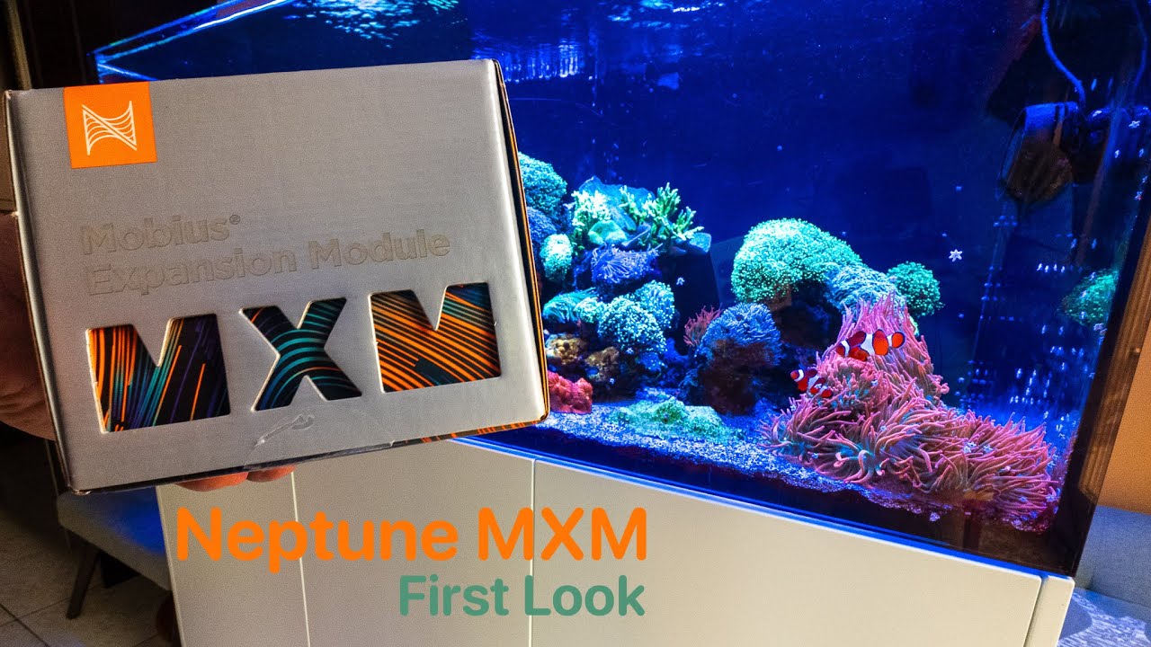 Модуль Neptune MXM — первый взгляд