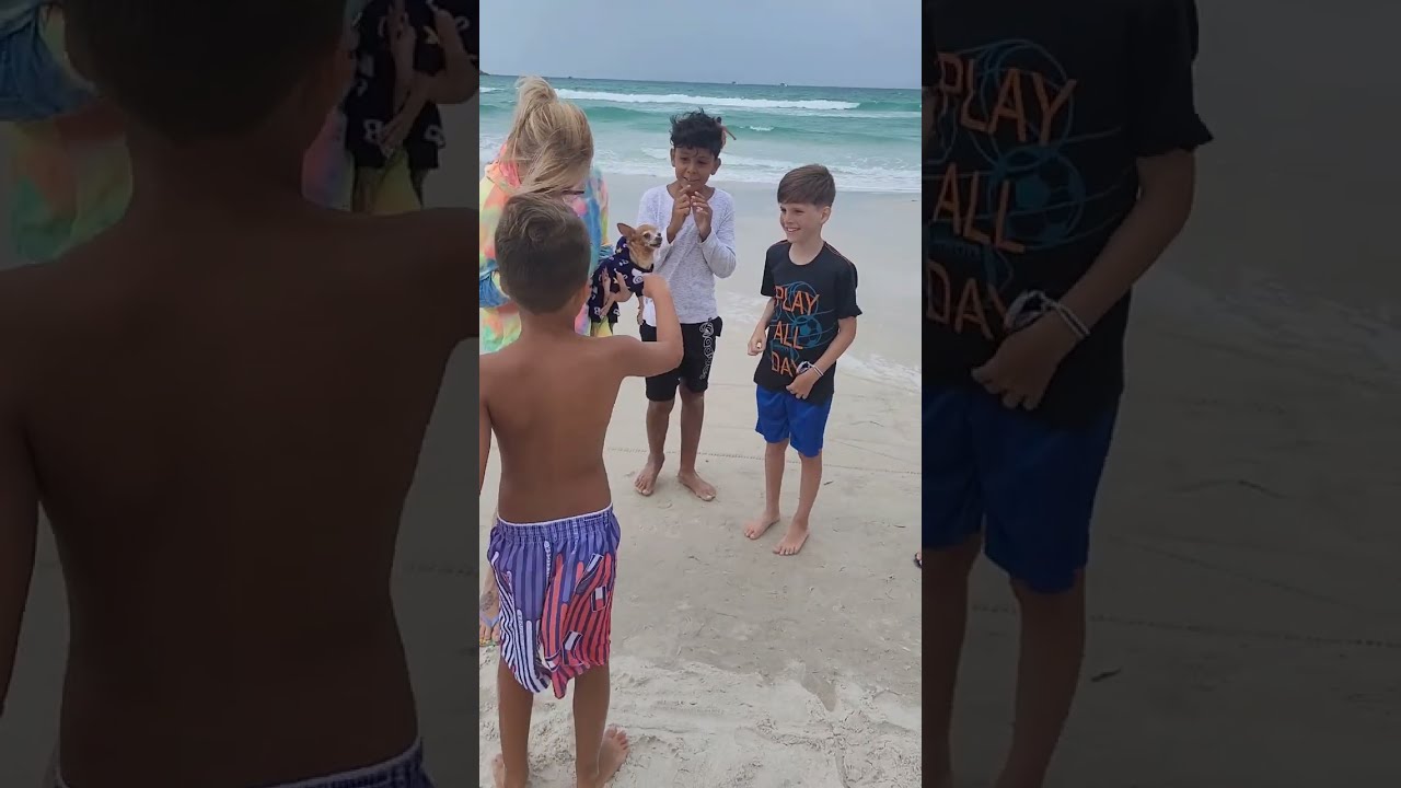 PITUCA HOJE NÃO DEU PRAIA