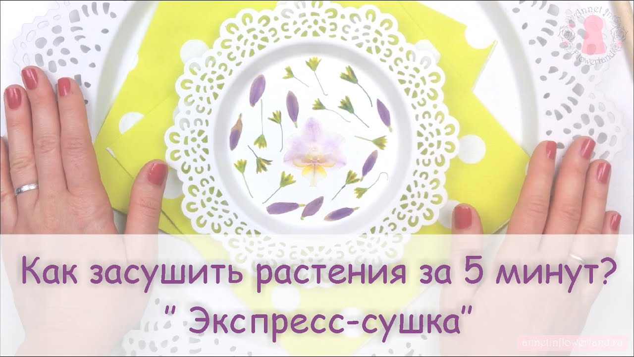 ЮВЕЛИРНАЯ СМОЛА || Сушка растений. Сухоцветы за 5 минут! How to press flowers in a microwave