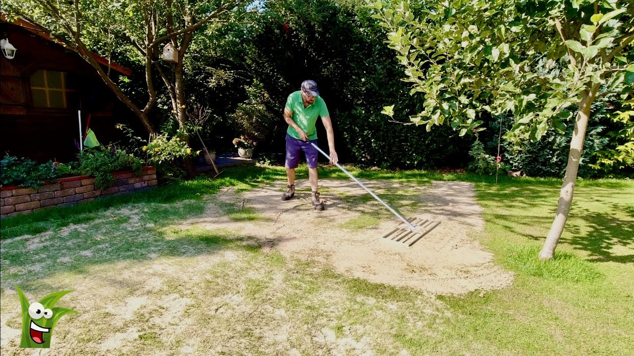Blog: RASEN Sanden I Alles was ihr wissen m&uuml;sst I Welcher Sand, wie viel, wie oft, warum Sand uvm 😀