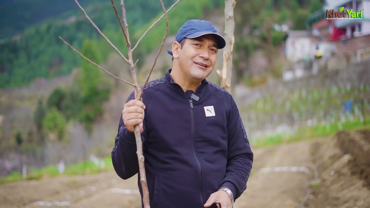 🌿🌱 Plants Ko Lagane Ka Sahi Tarika Sikhein – Sirf Is Ek Video Mein! 🎯📹 || Jittu Chauhan Orchardist