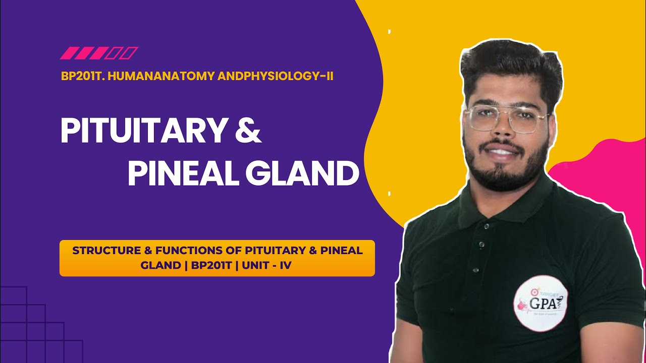 Structure & functions of Pituitary & Pineal Gland | BP201T | UNIT - IV | Human Anatomy & Physiology