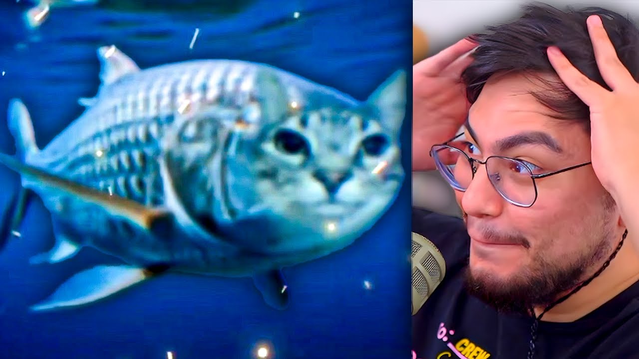 Si Me Rio Termina El Video