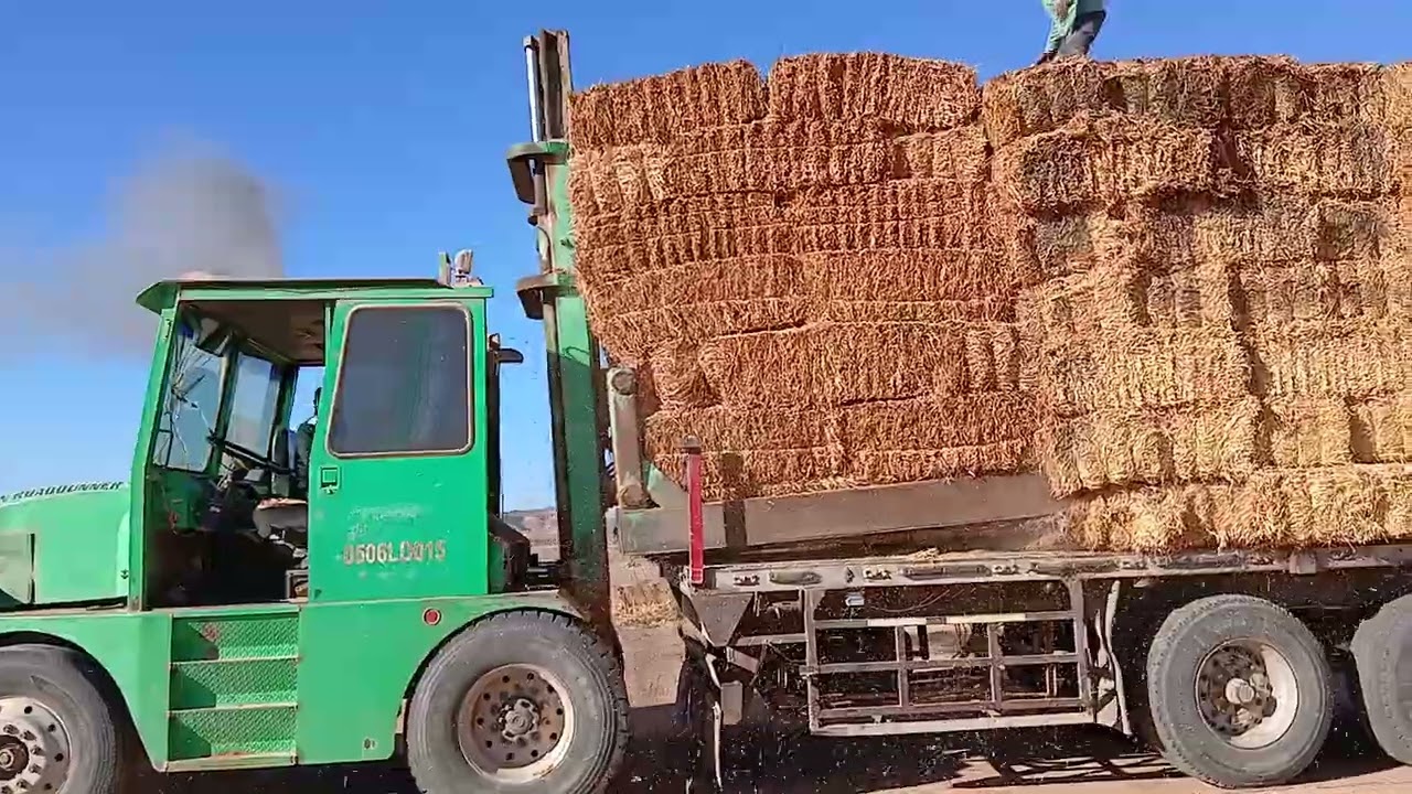 TECHNIC HOW TO LOAD GRASS BANDIL