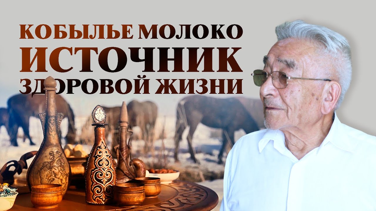 Кобылье молоко источник здоровой жизни