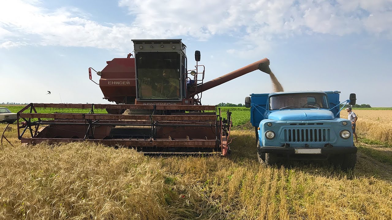 🌾Уборка Озимой Пшеницы 2021 началась! 🍉Арбузы и Дыни на подходе!