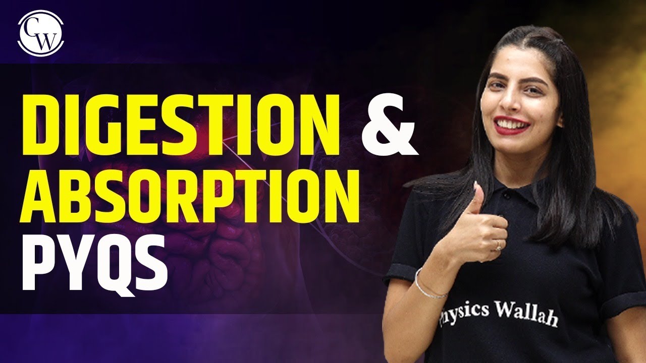 You can&rsquo;t miss these PYQs of DIGESTION AND ABSORPTION | Biology - NEET 2022