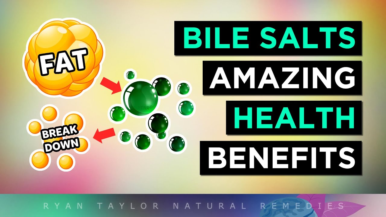The INCREDIBLE Benefits of Bile Salts (Ox Bile & TUDCA)