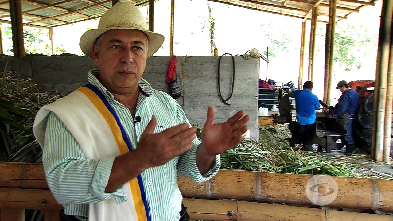 Almacenan pasto de corte en bunker | La Finca de Hoy