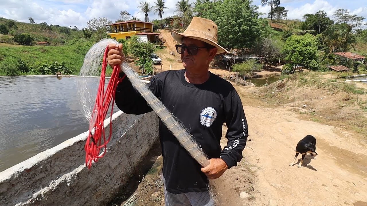 CARPAS GIGANTES NO COVO + PESANDO OS PEIXES DA MINHA CRIAÇÃO