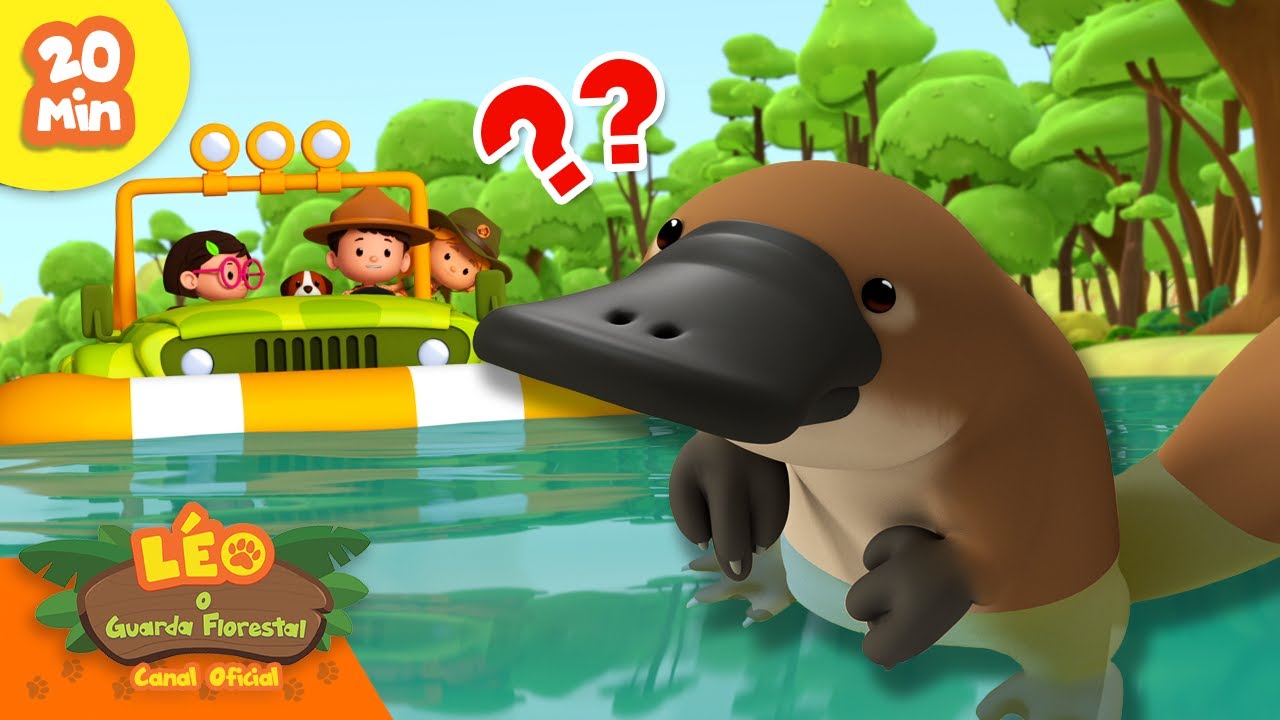 CASA DO ORNITORRINCO?! 🏠 | Animais com pés palmados | Leo, O Guarda Florestal | Animação
