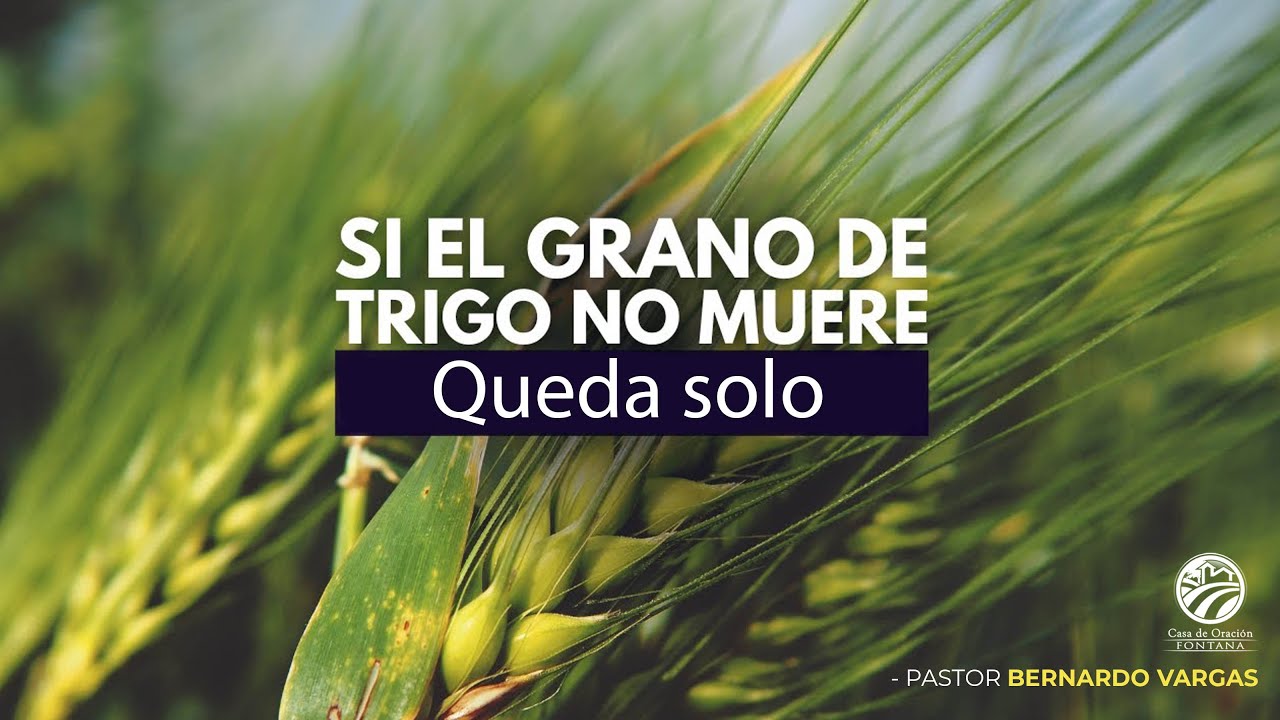 Si el grano de trigo no muere queda solo / Pr. Bernardo Vargas