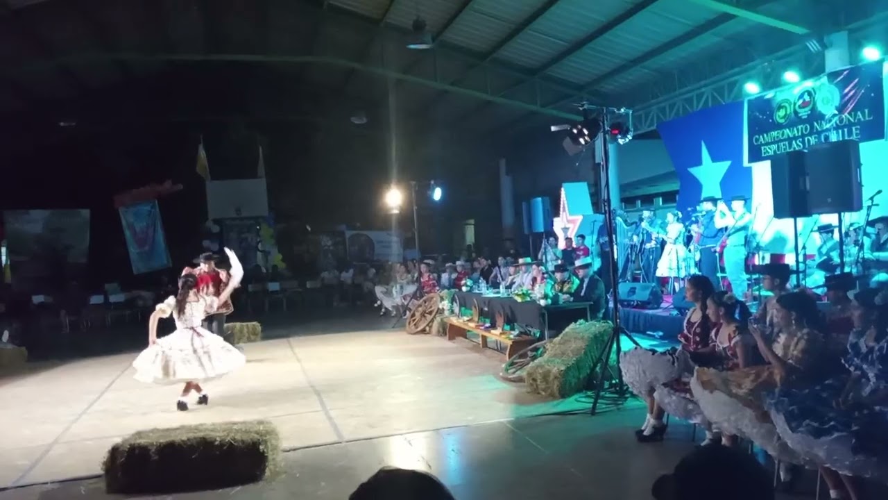 Se siente la emoción, el esfuerzo y el amor por nuestra danza💃🕺Orgullosos de ser auspiciadores 2026🙌