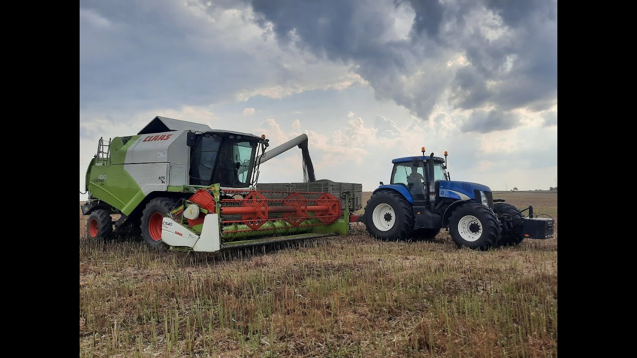 ☆Żniwa Rzepaku 2021☆ Claas Tucano 430 / New Holland tg 230 ☆
