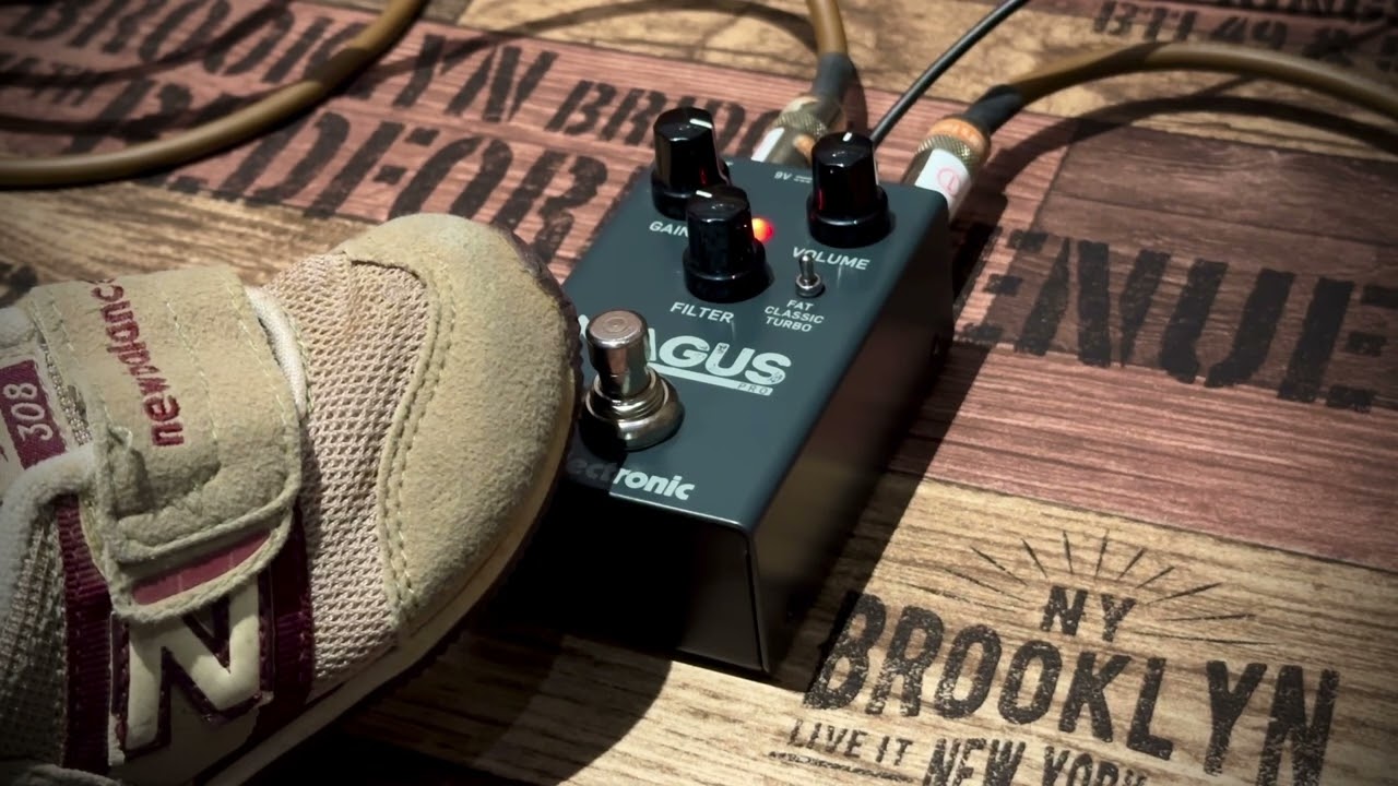 t.c. electronic MAGUS PRO
