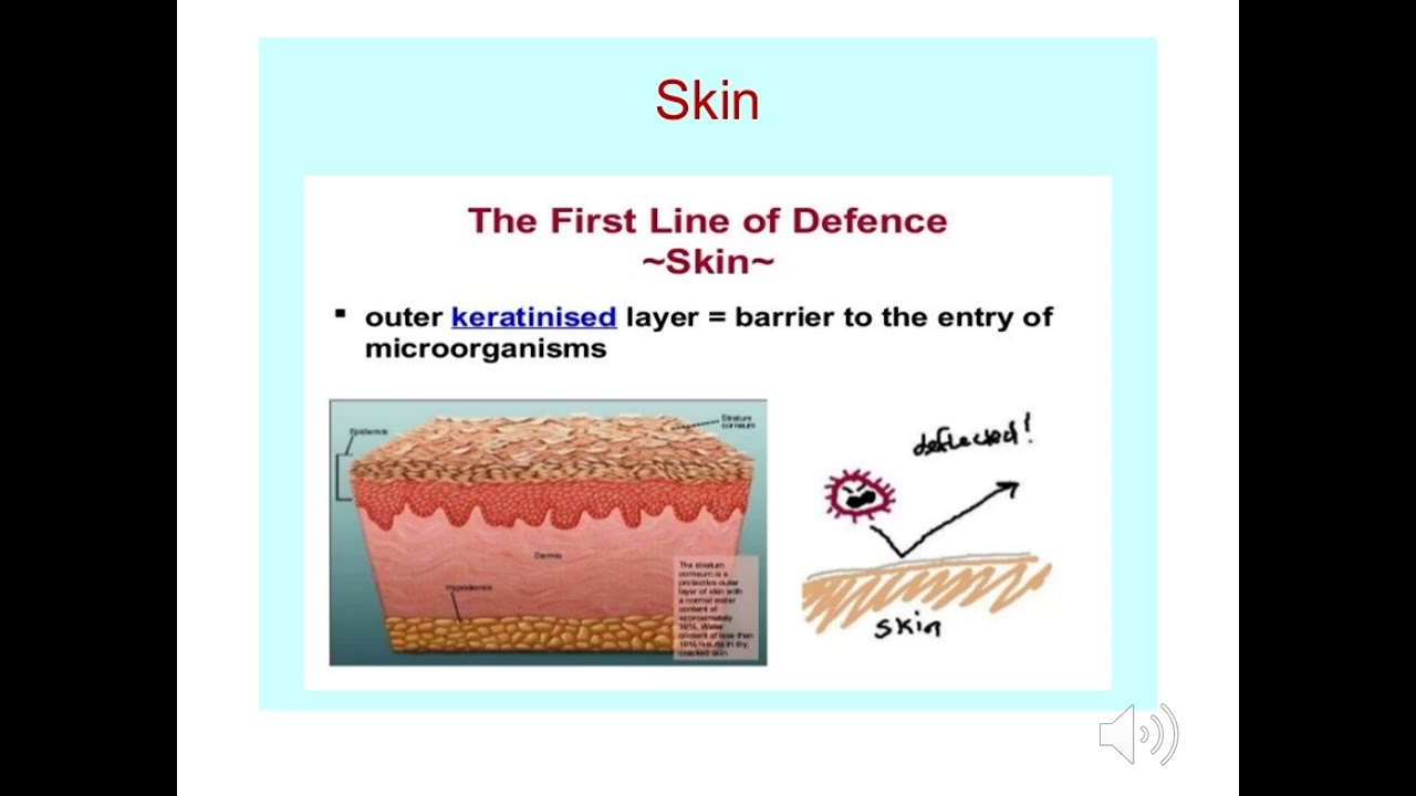 4  immune1 lecture