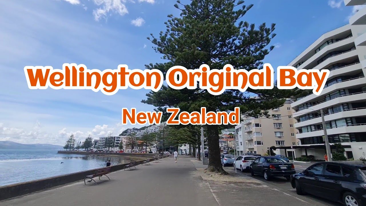 Explore Wellington's Oriental Bay: Come See the Stunning Views!