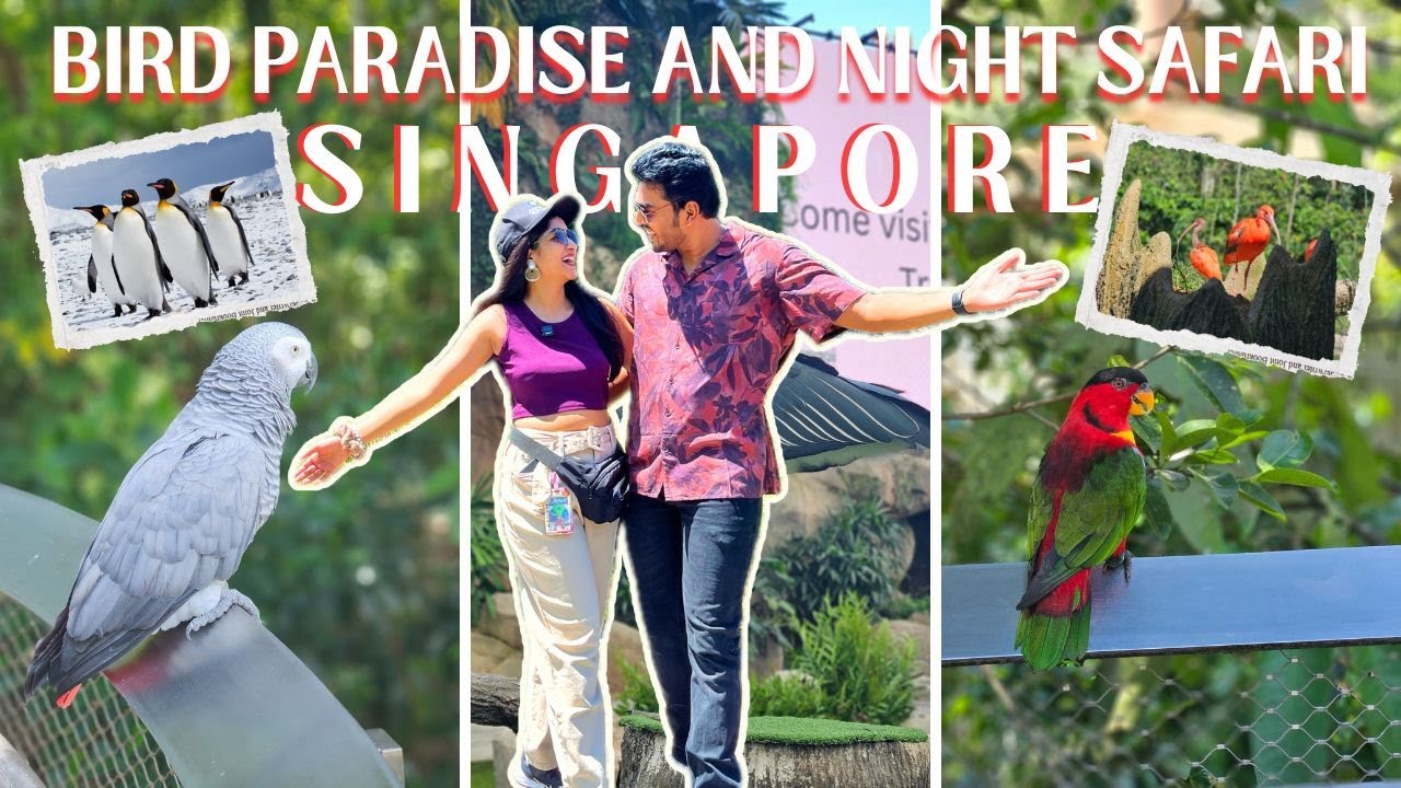 Day 1 in Singapore – Mandai Wildlife Reserve | Bird Paradise | Night Safari