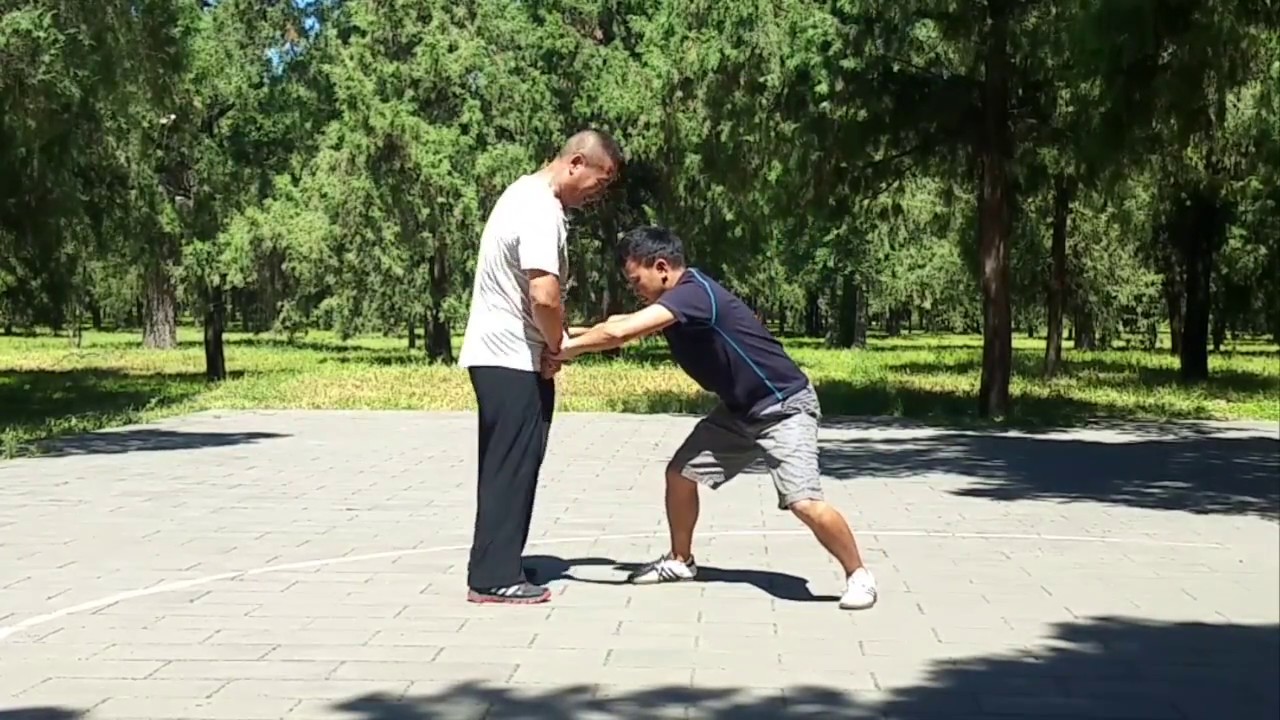 Three Emperors Cannon Punch Kung Fu: Striking & Sparring