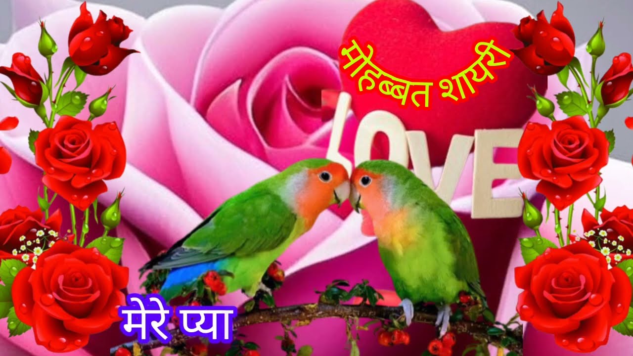 🥀हम जीना छोड़ सकते हैं 💖पर तुम्हे प्यार करना नहीं&hellip;| मोहब्बत |#shorts #youtubeshorts #mohabbatshayari